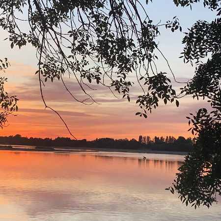 Вилла Les Roses De L'Olivier Les Rosiers-sur-Loire Экстерьер фото