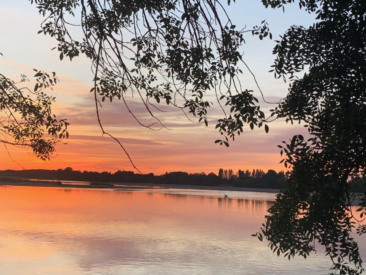 Вилла Les Roses De L'Olivier Les Rosiers-sur-Loire Экстерьер фото